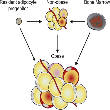 "pharmon201507212235395682.jpg "pharmon201507212235395682.jpg/