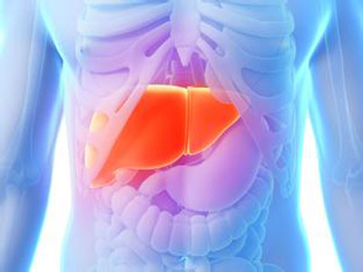 "145217456859c63cf67452f0a8.jpg "145217456859c63cf67452f0a8.jpg/