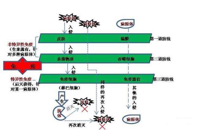 "微信圖片_20170727163919.jpg/