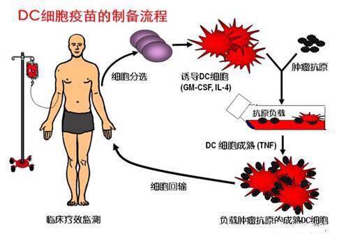 "微信圖片_20170727164011.jpg/