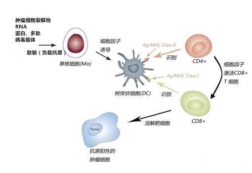 "微信圖片_20170727164019.jpg/