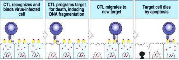 "微信圖片_20170727164024.jpg/