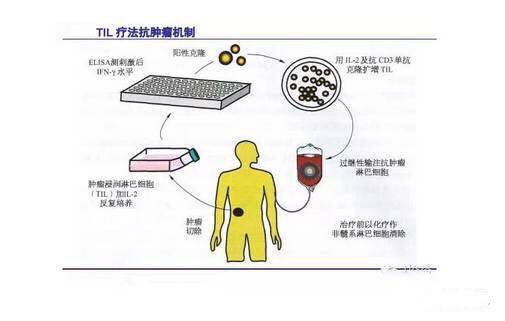 "微信圖片_20170727164028.jpg/