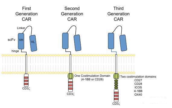 "微信圖片_20170727164046.jpg/