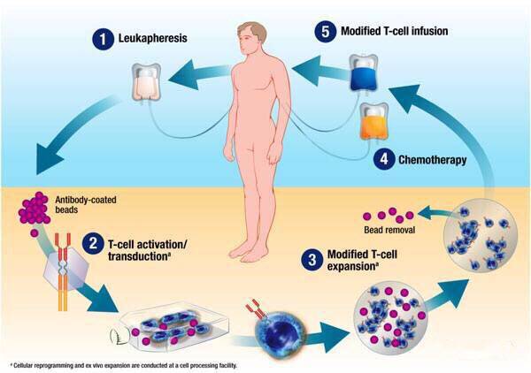 "微信圖片_20170727164049.jpg/