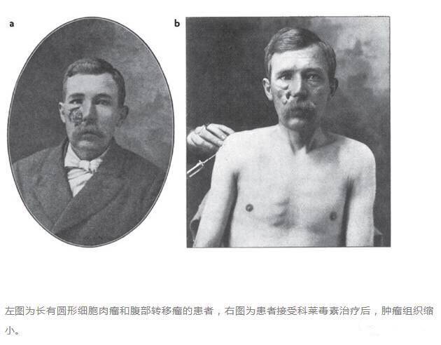 "微信圖片_20170727165603.jpg/