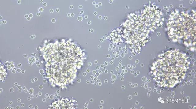 "微信圖片_20170915113659.jpg "微信圖片_20170915113659.jpg/