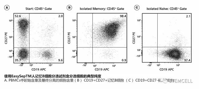 "微信圖片_20170915113730.jpg "微信圖片_20170915113730.jpg/