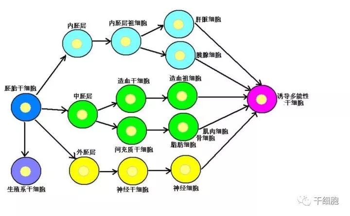 "微信圖片_20170930104558.jpg/