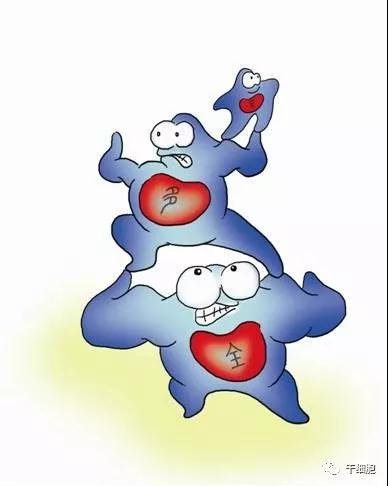 "微信圖片_20170930104603.jpg/