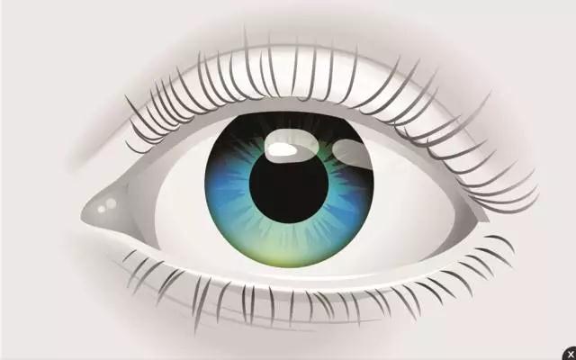 "微信圖片_20171108164935.jpg "微信圖片_20171108164935.jpg/