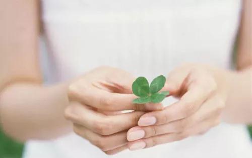 "微信圖片_20180105170131.jpg "微信圖片_20180105170131.jpg/