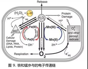 "微信圖片_20180212155931.jpg/