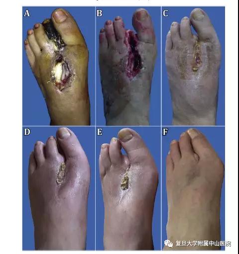 "微信圖片_20181019165811.jpg/