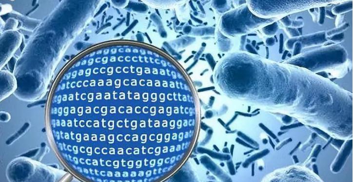 "1.jpg "UEditor_snapScreen_tmp.jpg