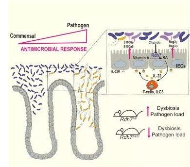 "UEditor_snapScreen_tmp.jpg/