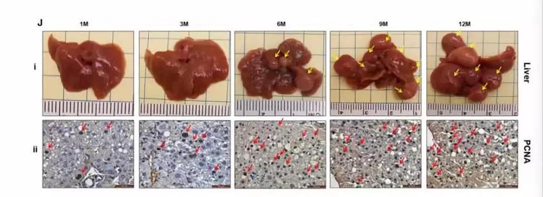 "微信圖片_20190130154158.jpg "微信圖片_20190130154158.jpg