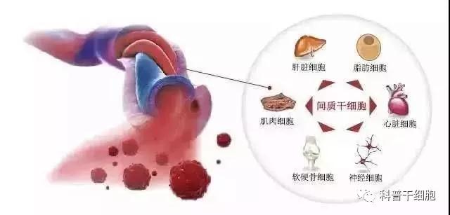 "微信圖片_20190215162546.jpg "微信圖片_20190215162546.jpg