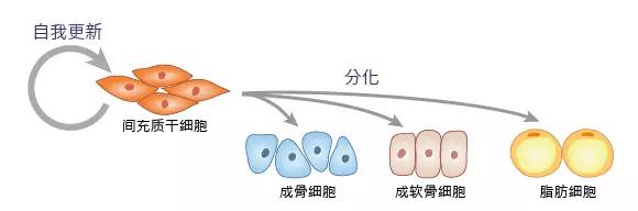 "微信圖片_20190215163455.jpg "微信圖片_20190215163455.jpg/