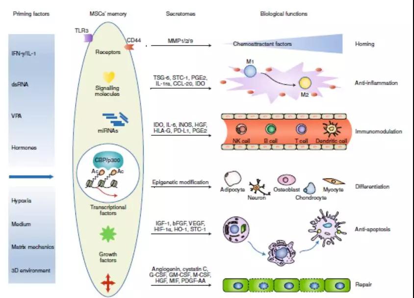 "微信圖片_20190215163451.jpg "微信圖片_20190215163451.jpg