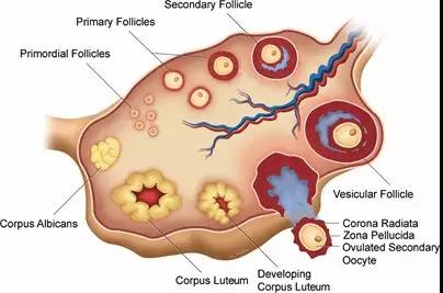"微信圖片_20190329152614.jpg "微信圖片_20190329152614.jpg/