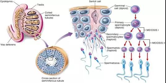 "微信圖片_20190329152618.jpg "微信圖片_20190329152618.jpg/