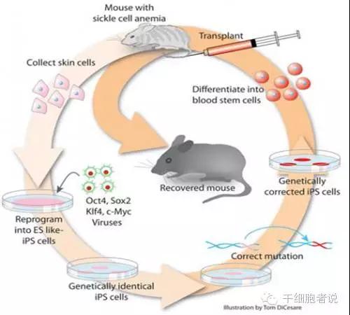 "微信圖片_20190329152849.jpg "微信圖片_20190329152849.jpg/