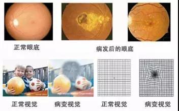 "微信圖片_20190329152901.jpg "微信圖片_20190329152901.jpg/