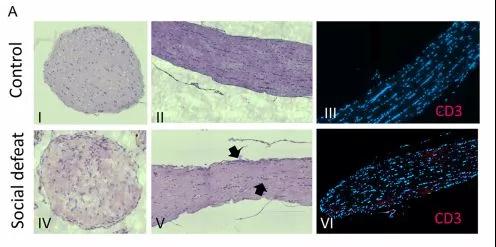 "微信圖片_20190520103302.jpg "微信圖片_20190520103302.jpg/