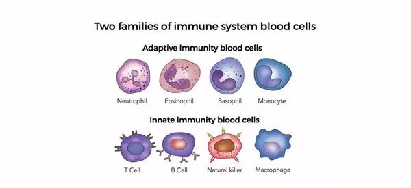 "微信圖片_20190705153641.jpg "微信圖片_20190705153641.jpg/