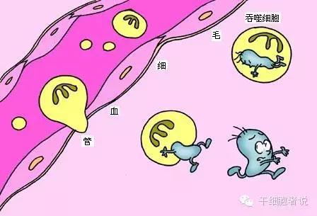 "微信圖片_20190719152508.jpg "微信圖片_20190719152508.jpg/