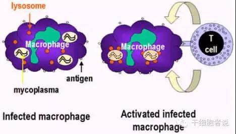 "微信圖片_20190719152519.jpg "微信圖片_20190719152519.jpg/