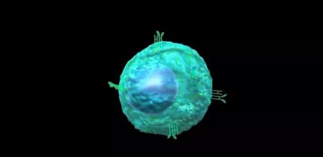 "微信圖片_20190807160827.jpg "微信圖片_20190807160827.jpg/