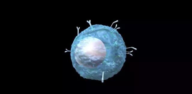 "微信圖片_20190807163243.jpg "微信圖片_20190807163243.jpg/