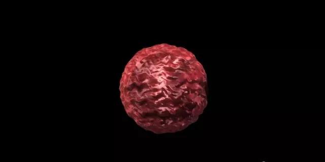 "微信圖片_20190807163336.jpg "微信圖片_20190807163336.jpg/