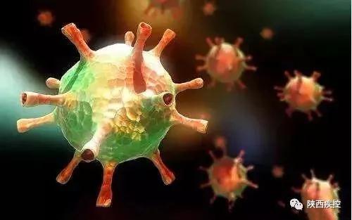 "微信圖片_20190807165901.jpg "微信圖片_20190807165901.jpg/