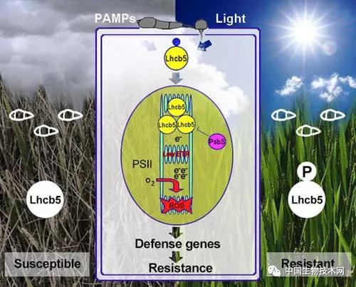 "微信圖片_20190815171314.jpg/