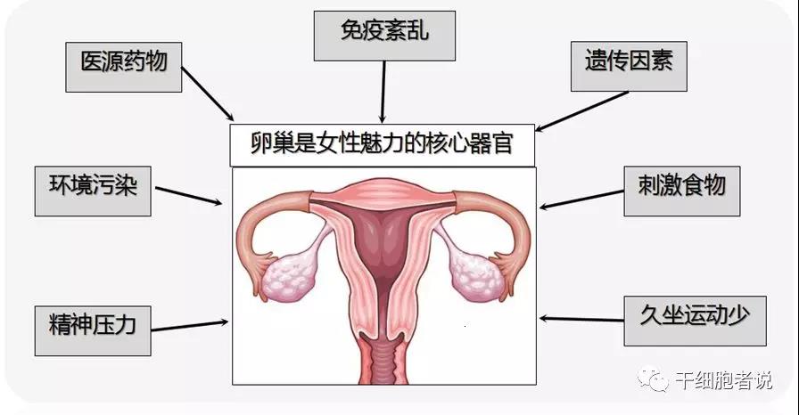 "微信圖片_20190906155153.jpg "微信圖片_20190906155153.jpg