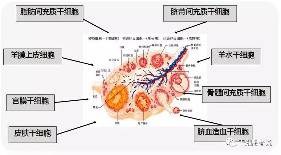 "微信圖片_20190906155156.jpg "微信圖片_20190906155156.jpg