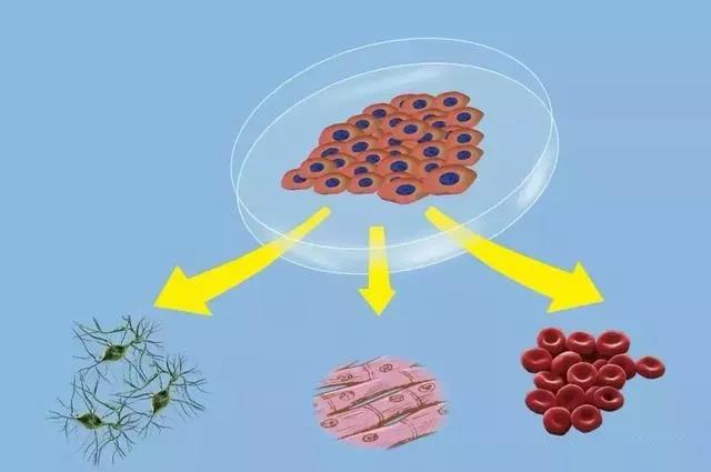 "微信圖片_20190927142601.jpg "微信圖片_20190927142601.jpg/