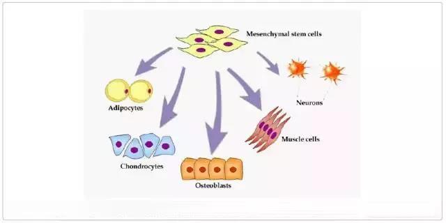 "微信圖片_20190927142554.jpg "微信圖片_20190927142554.jpg/
