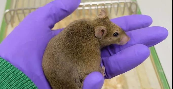 "微信圖片_20191031143030.jpg "微信圖片_20191031143030.jpg/