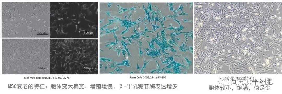 "微信圖片_20191122160044.jpg "微信圖片_20191122160044.jpg