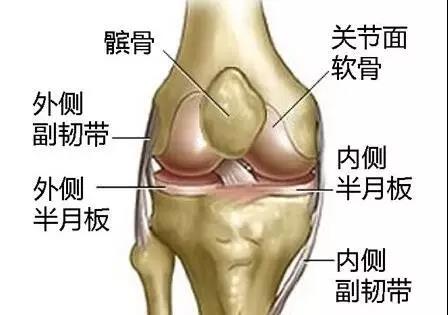 "微信圖片_20191212150827.jpg "微信圖片_20191212150827.jpg/