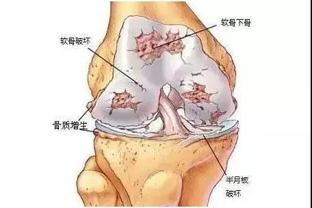 "微信圖片_20191212150839.jpg "微信圖片_20191212150839.jpg/