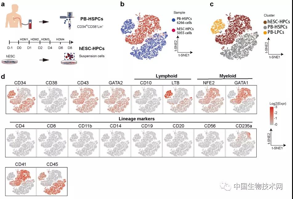 "微信圖片_20201210160932.jpg "微信圖片_20201210160932.jpg