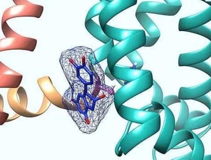 "UEditor_snapScreen_tmp.jpg/