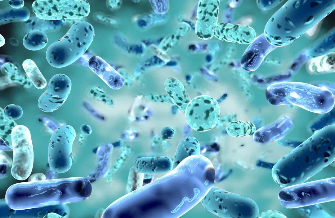 "src=http-%2F%2F5b0988e595225.cdn.sohucs.com%2Fimages%2F20200507%2F7dc431577fd84819ac830254eb21d76b.jpeg&refer=http-%2F%2F5b0988e595225.cdn.sohucs.jpg "src=http-%2F%2F5b0988e595225.cdn.sohucs.com%2Fimages%2F20200507%2F7dc431577fd84819ac830254eb21d76b.jpeg&refer=http-%2F%2F5b0988e595225.cdn.sohucs.jpg