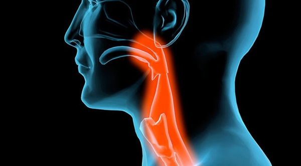 "6506-1.jpg "6506-1.jpg/