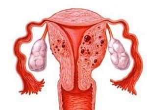 a57jca7580490325709.jpeg a57jca7580490325709.jpeg/